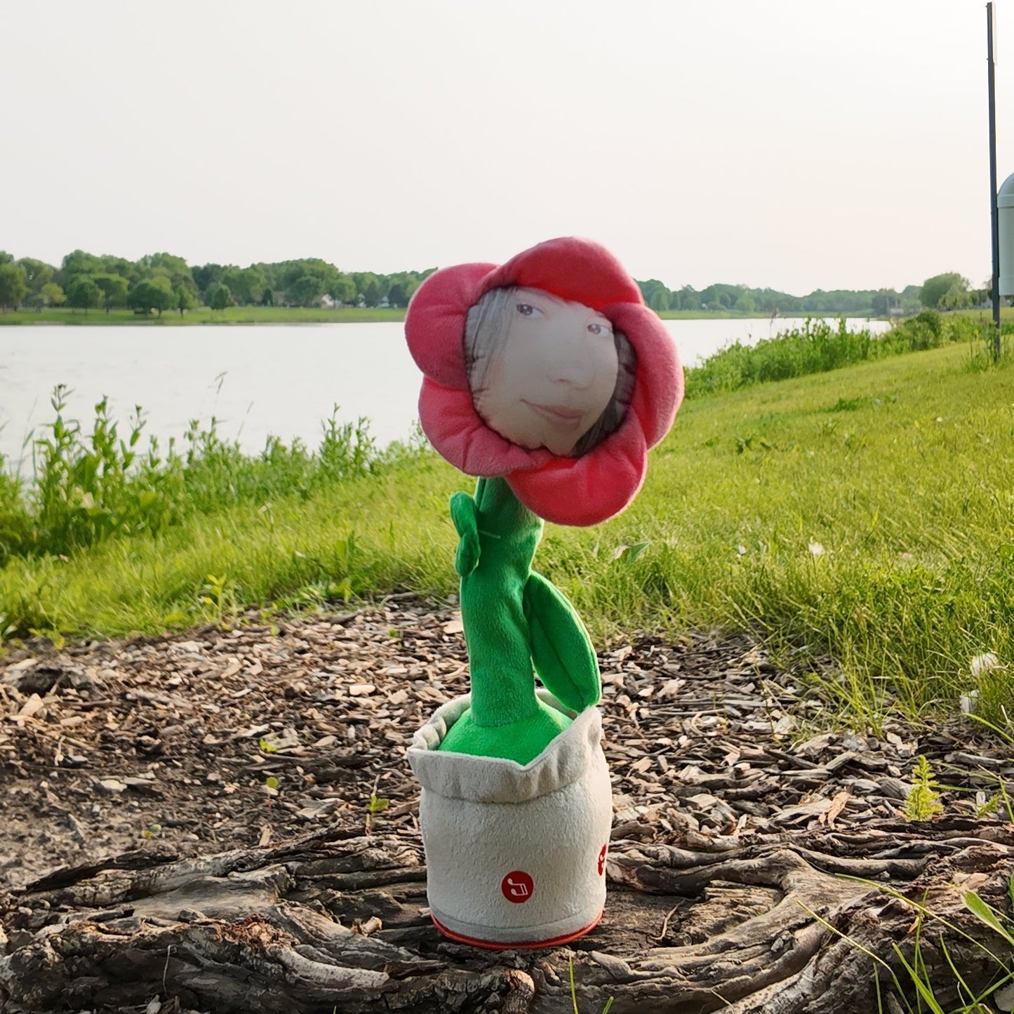 Custom Flower Face