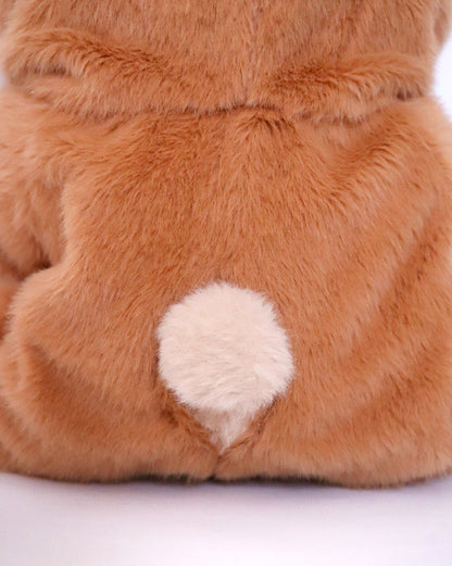 Mochi | Capybara Teddy Bear