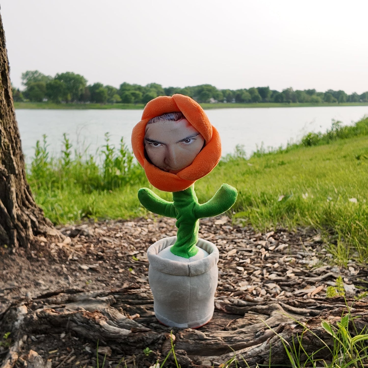 Custom Flower Face