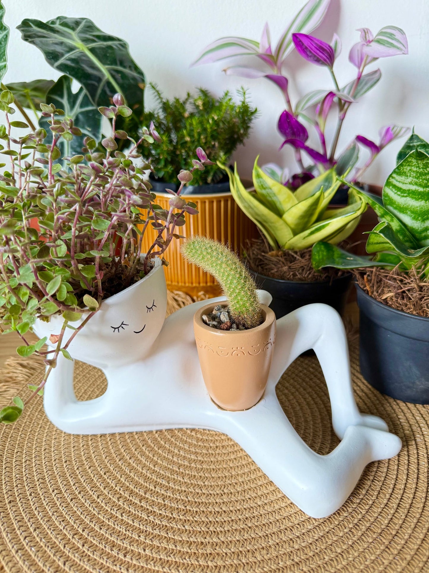Lazy Guy Pot