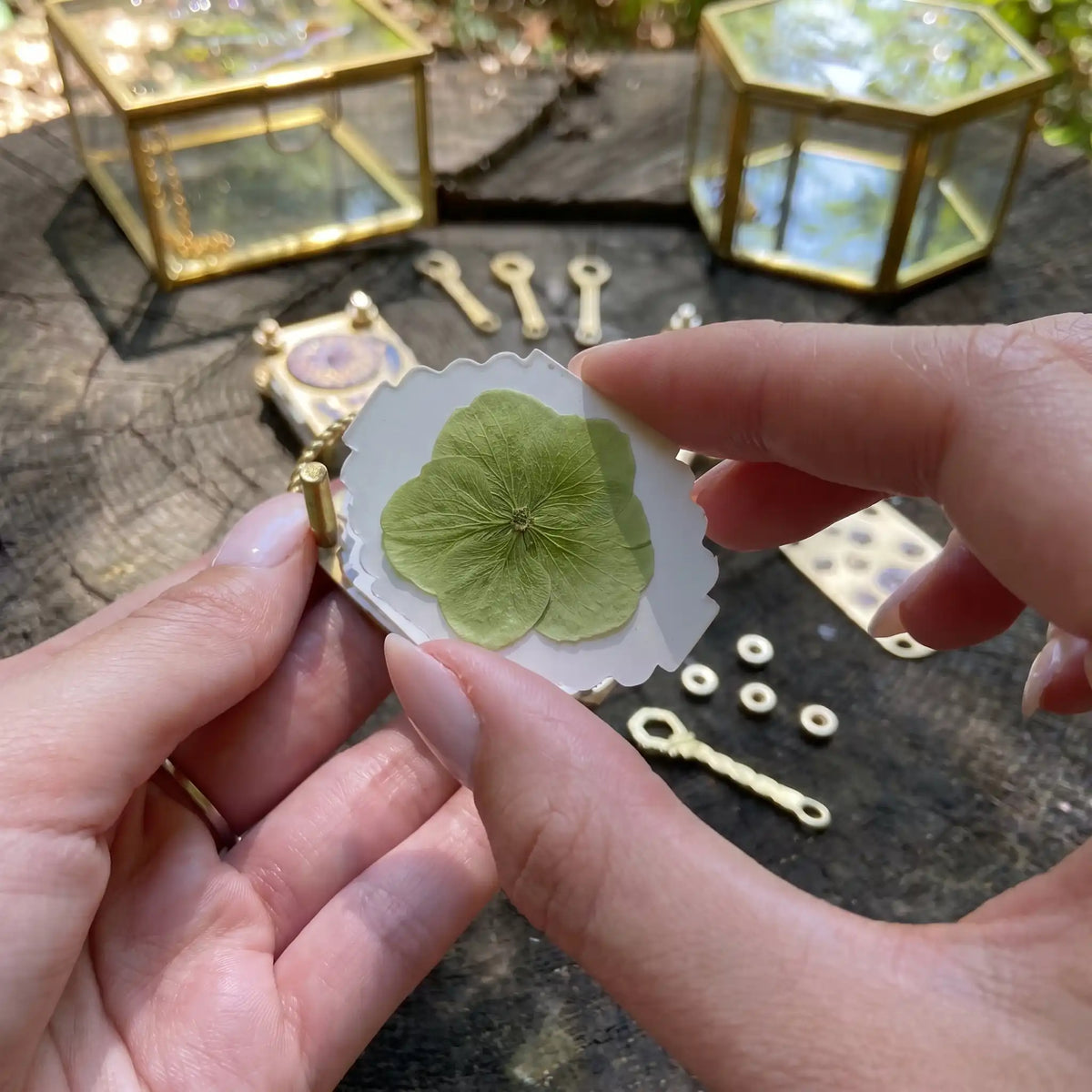 Avora | Handmade Flowerpress